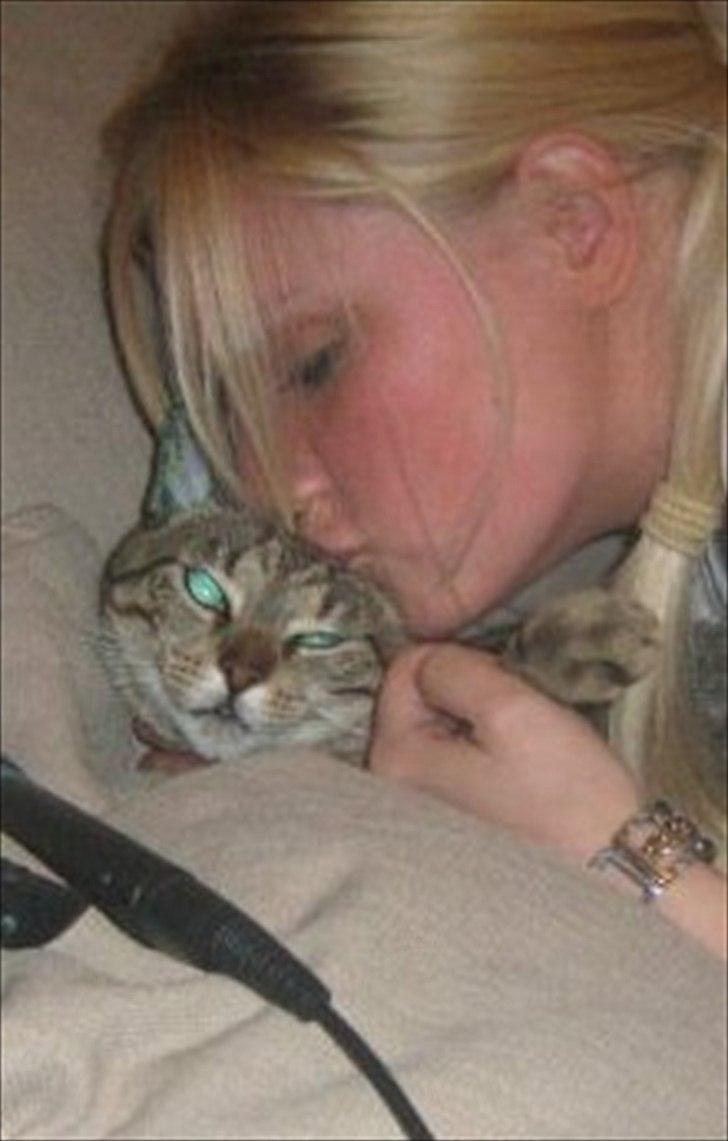 Huskat Mille billede 4