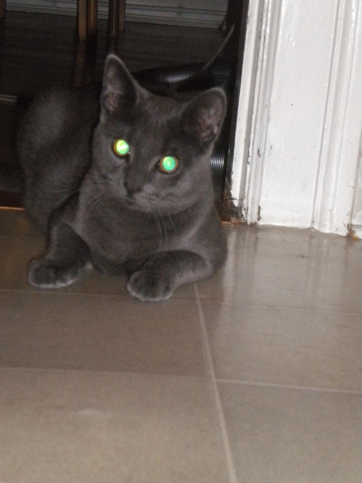 Huskat my billede 14