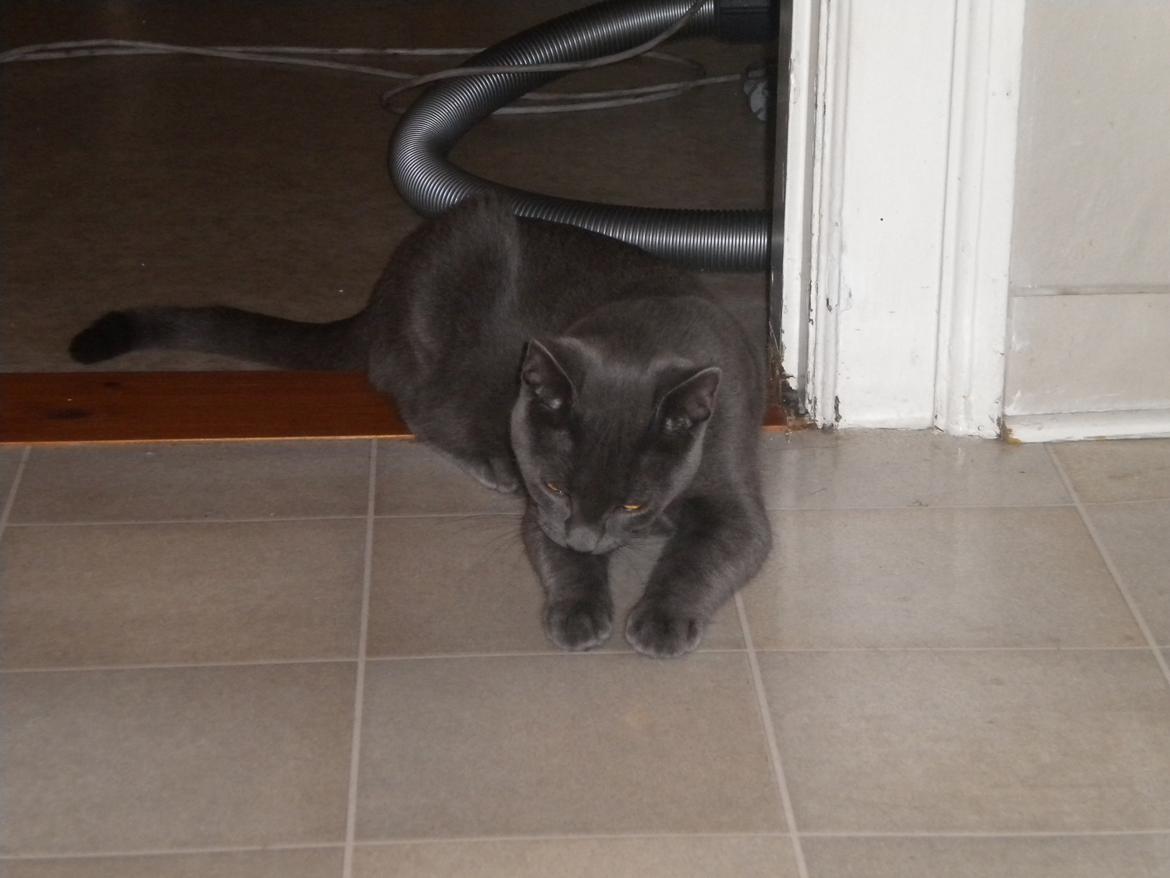 Huskat my billede 15