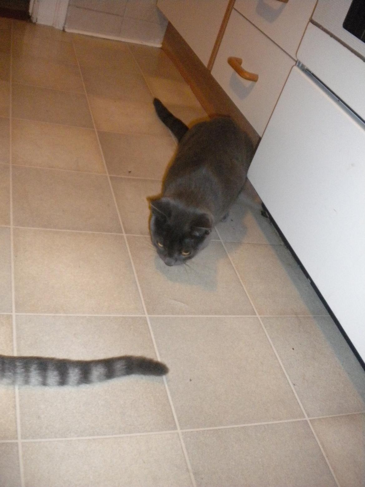 Huskat my billede 16