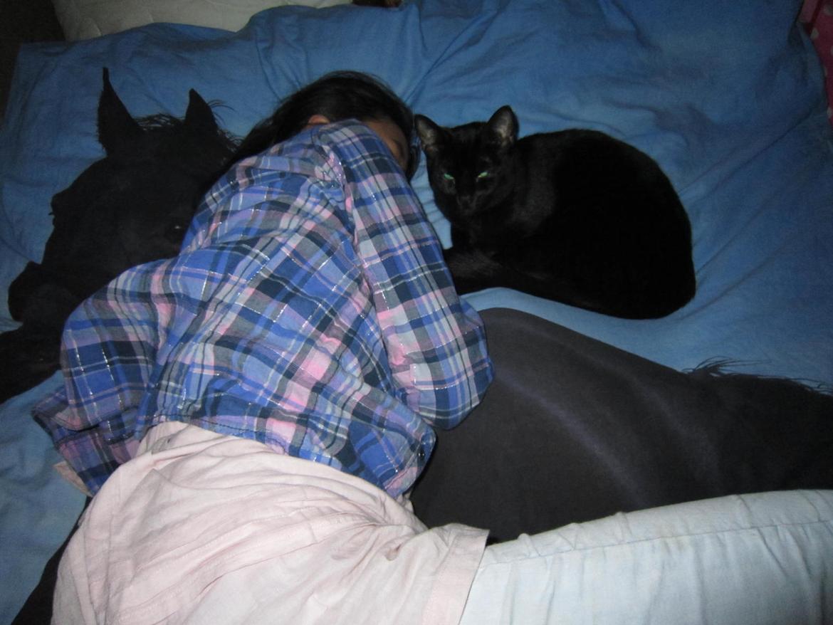 Blanding af racer Lille Fis - Lille Fis og mig sammen hvor vi ligger og sover billede 6