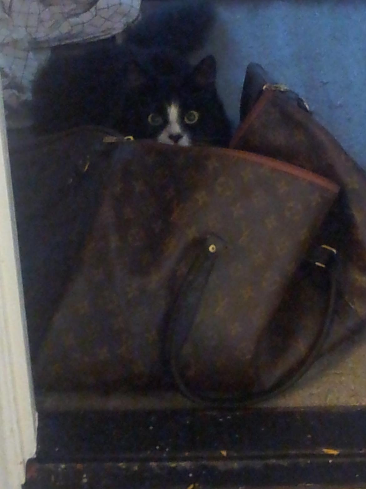 Blanding af racer Bruce - LEGE LEGE LEGE !! :D billede 7