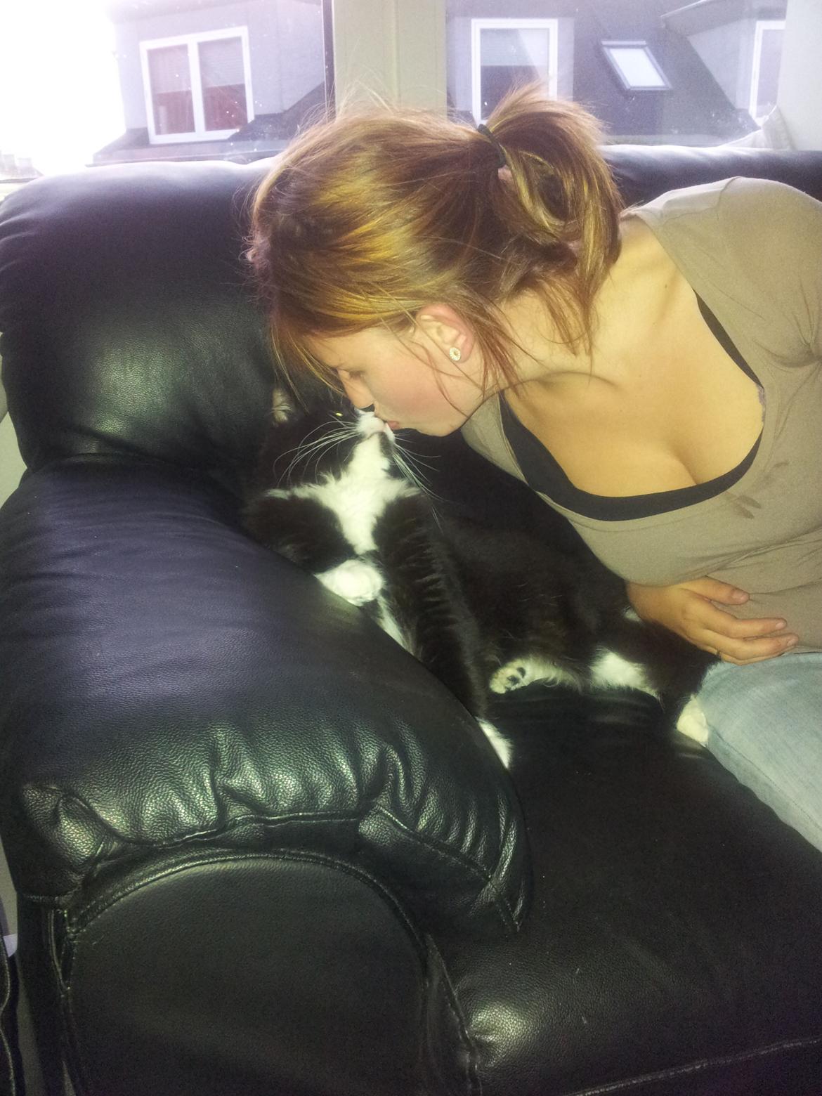 Blanding af racer Bruce - han kan godt lide nær kontakt <3 billede 8