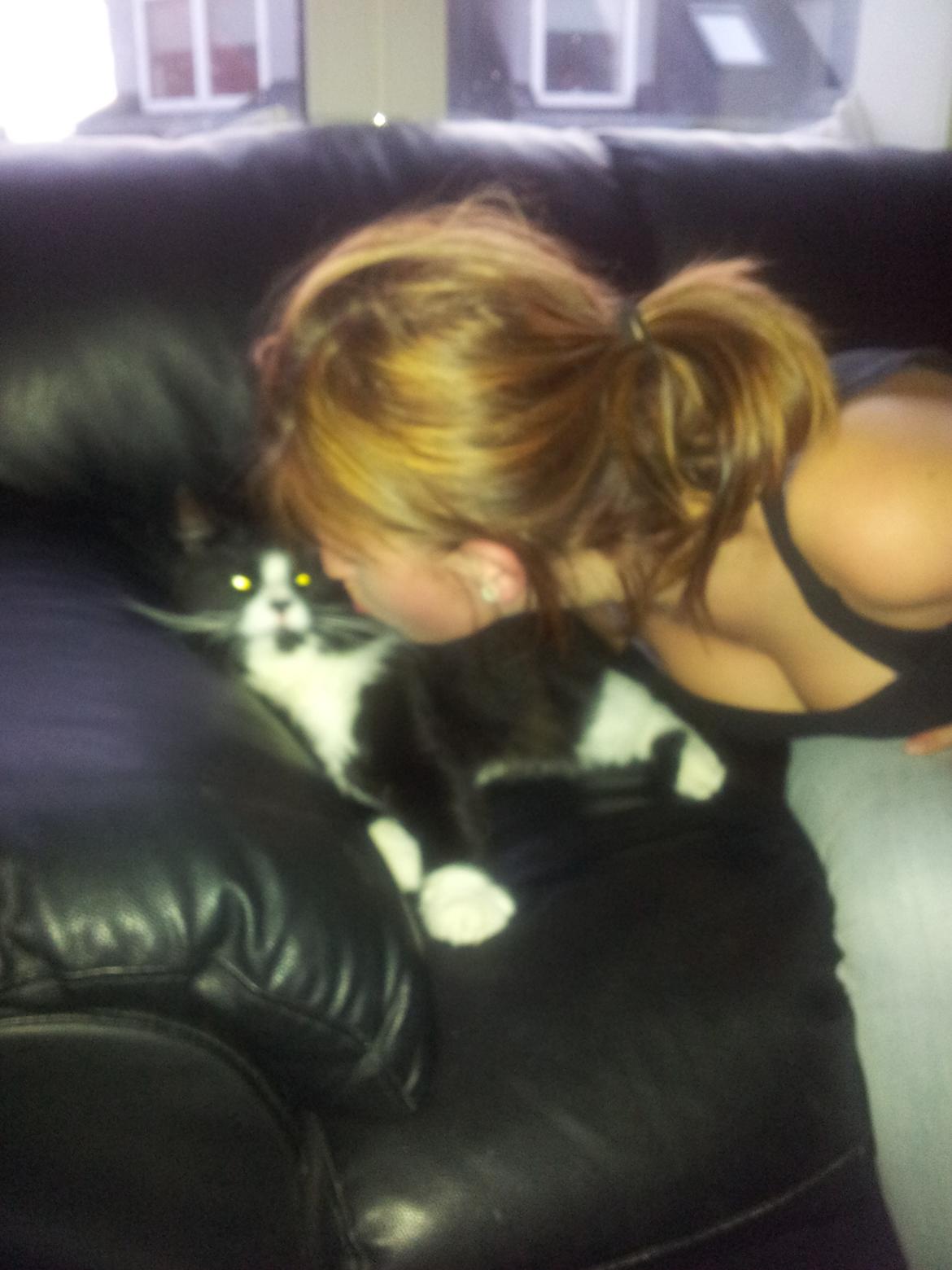 Blanding af racer Bruce - stop igen ;) billede 9