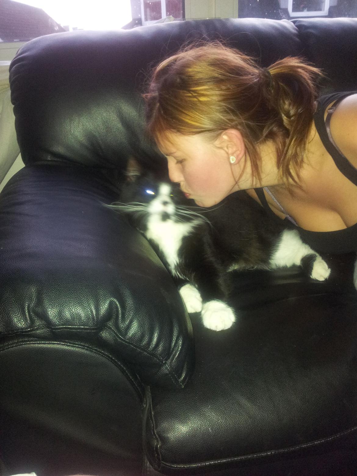 Blanding af racer Bruce - ej bliv ved ;) billede 10