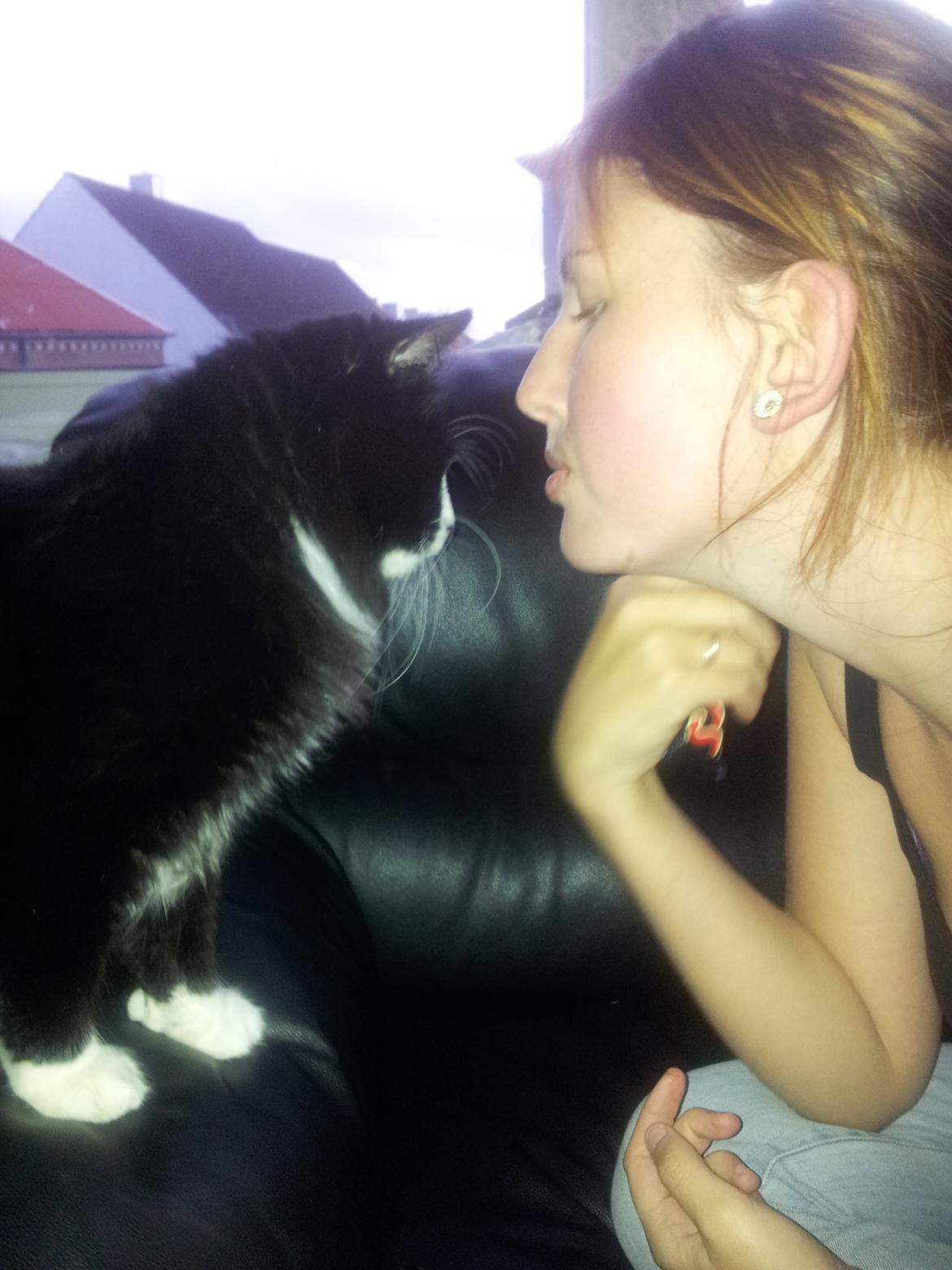 Blanding af racer Bruce - Hun er da ret sød ;) billede 11