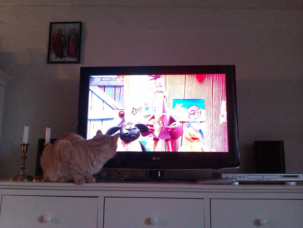 Blanding af racer Silas - Silas ser tv - Feb. 2012 billede 15