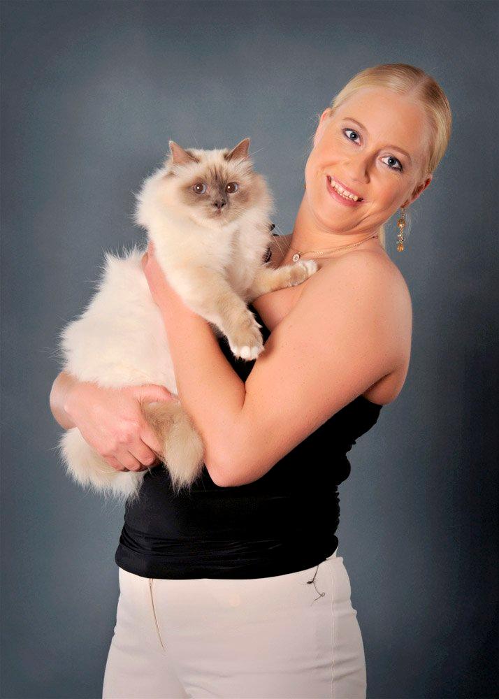 Hellig Birma Kassandra Von Gott (Himmelkat) - Min Øjesten billede 1