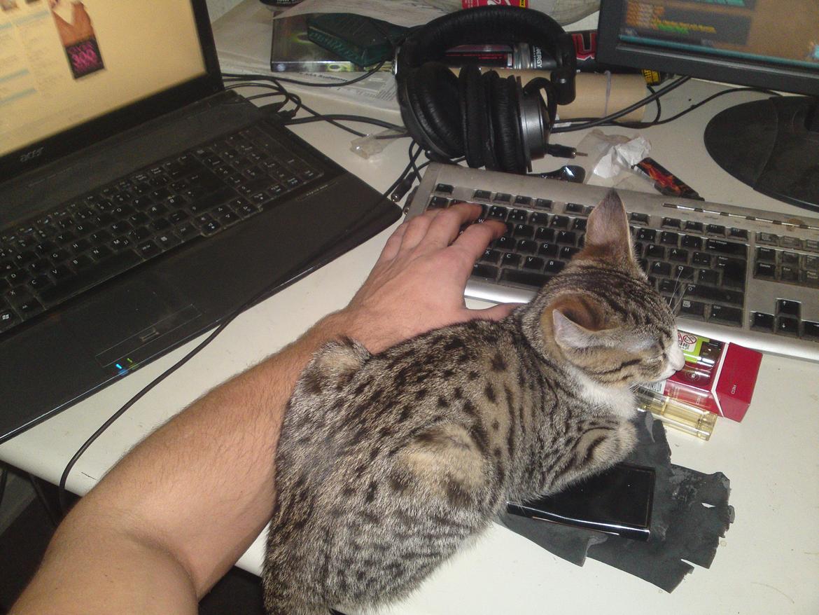 Huskat Helios billede 10