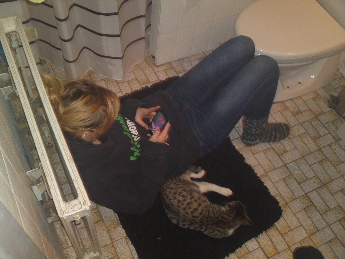 Huskat Helios billede 19