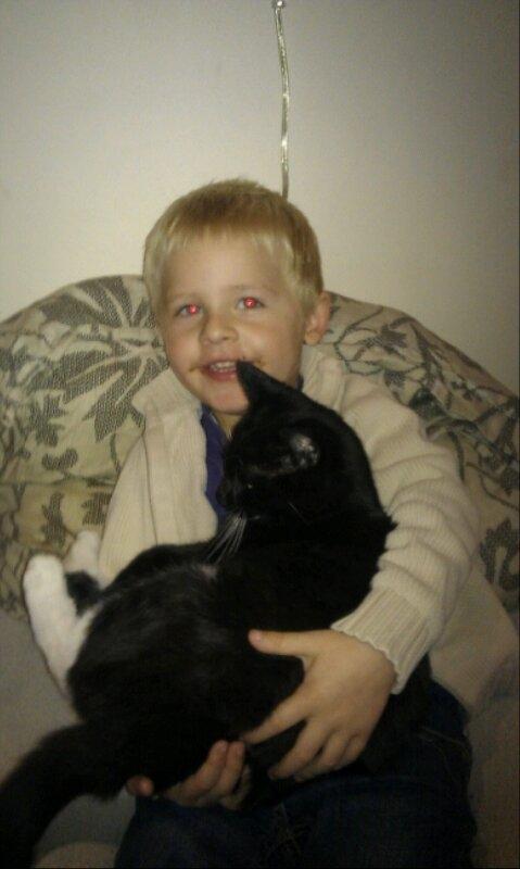 Blanding af racer figaro - "storebror" og mig.. han fodre mig og rydder op i min kattebakke.  billede 7