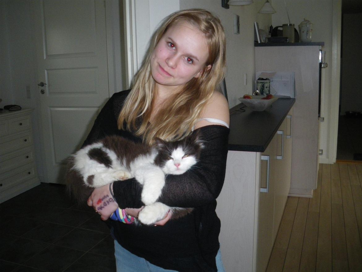 Blanding af racer Bailey - Baliey lægger og putter!:-D billede 11