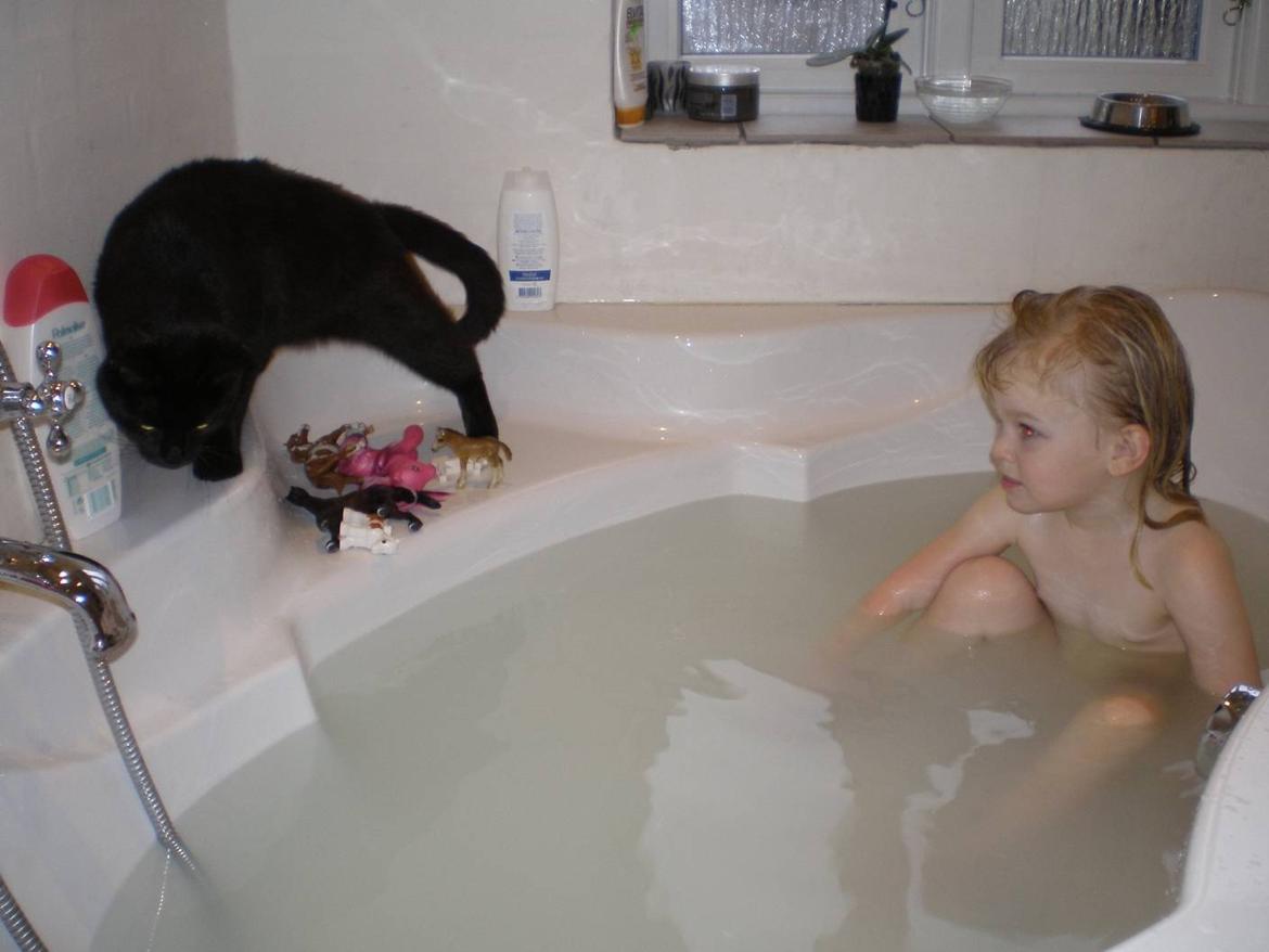 Huskat Phanter (himmelmis) - Phanter og min datter er i bad:) billede 3