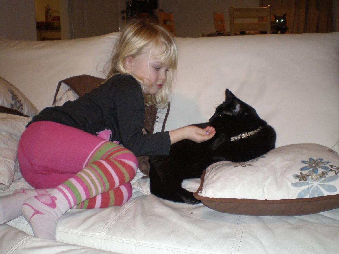 Huskat Phanter (himmelmis) - Min datter og Phanter billede 9