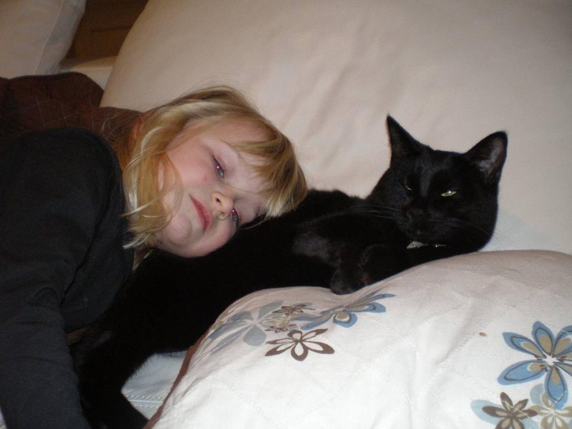 Huskat Phanter (himmelmis) - Min datter og Phanter billede 10