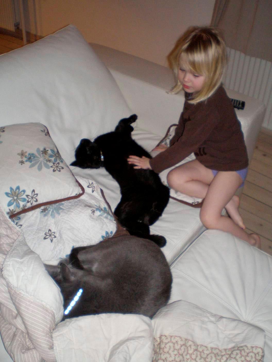 Huskat Phanter (himmelmis) - Min datter og Phanter billede 11