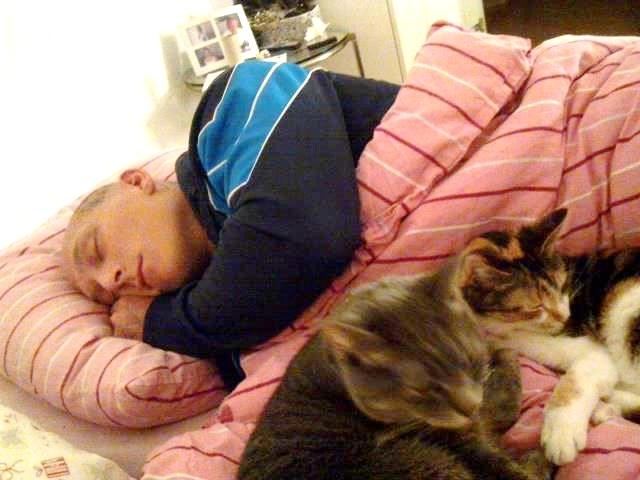 Huskat Duchees billede 6