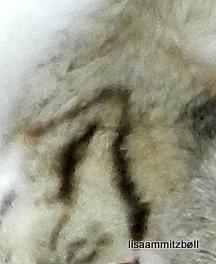 Blanding af racer Pi - tegnet Pi billede 3