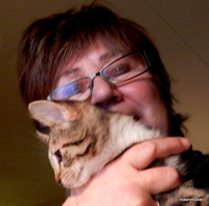 Blanding af racer Pi - Hjemme i Viborg billede 4