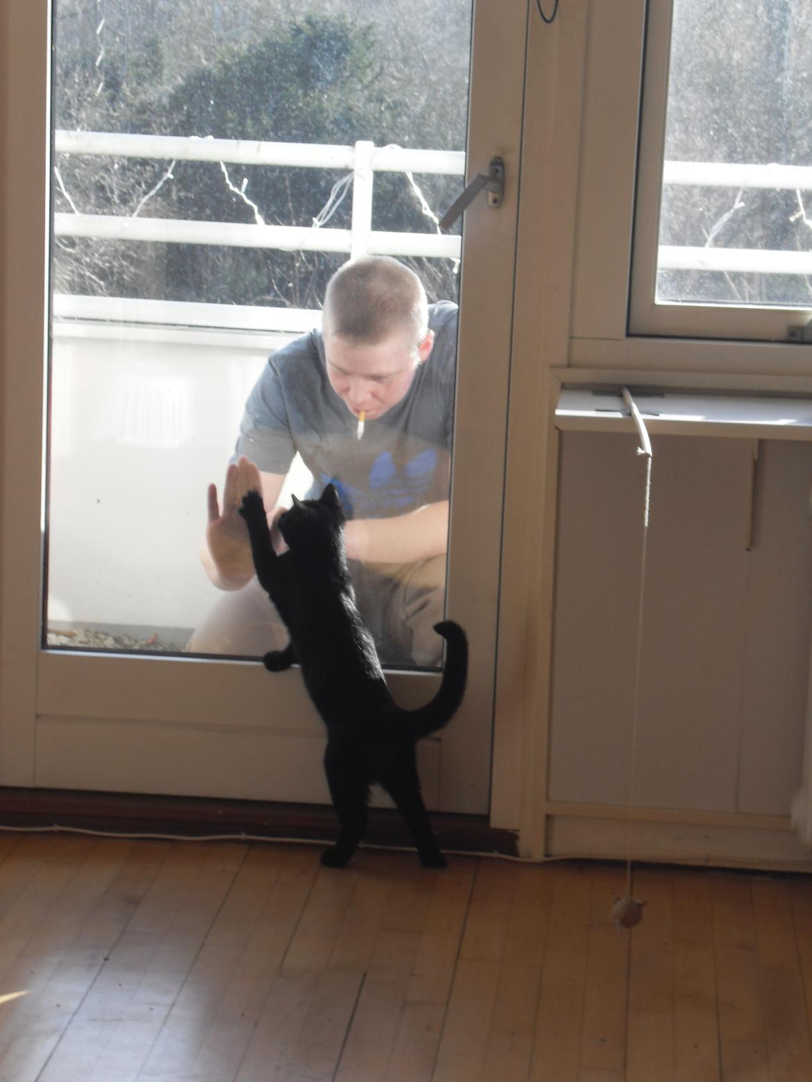 Huskat Himmelmis Manse - Hey.. det er min far.. jeg vil os derud.. High Five.. billede 10