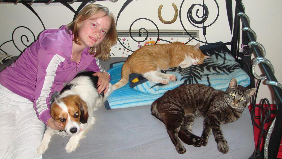 Blanding af racer Oliver R.I.P billede 4