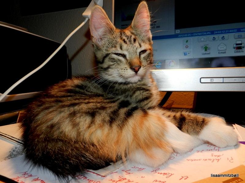 Blanding af racer Pi - Klods op af min computerskærm billede 15