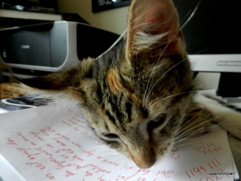 Blanding af racer Pi - midt imellem mine papirer billede 18