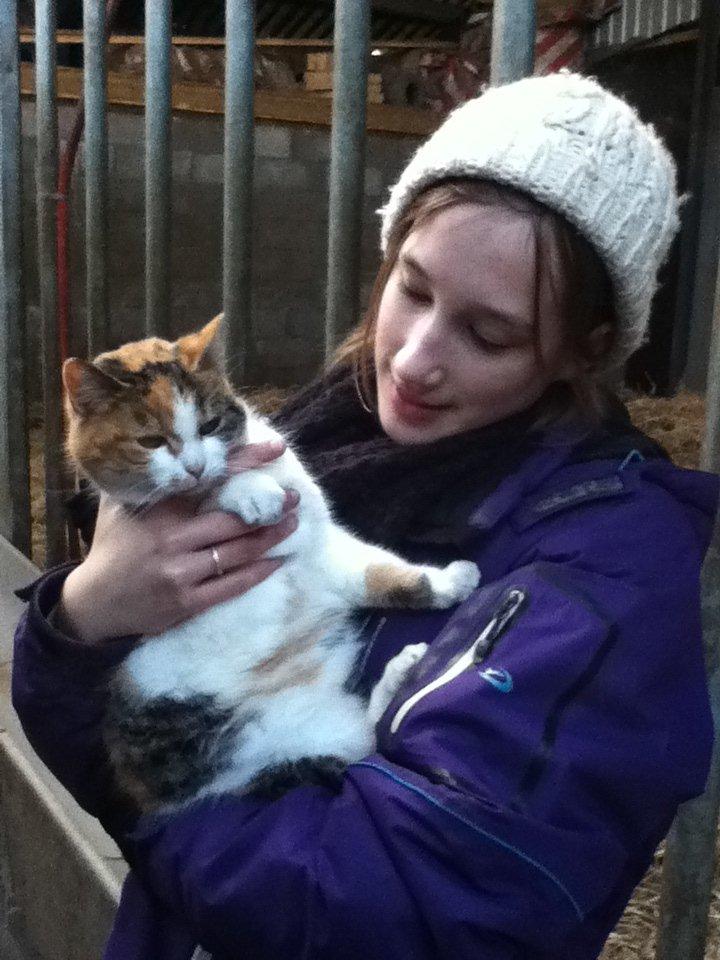 Huskat MisseMor [Staldkat] billede 1