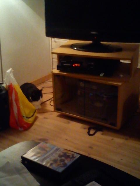 Huskat Tulle - Tut på jagt. billede 18