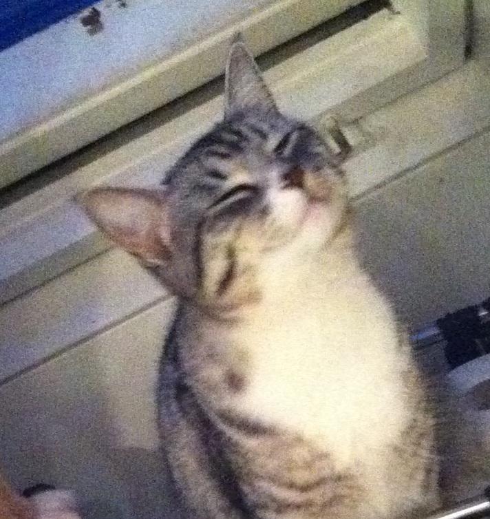 Huskat Chianti - Happy face billede 3