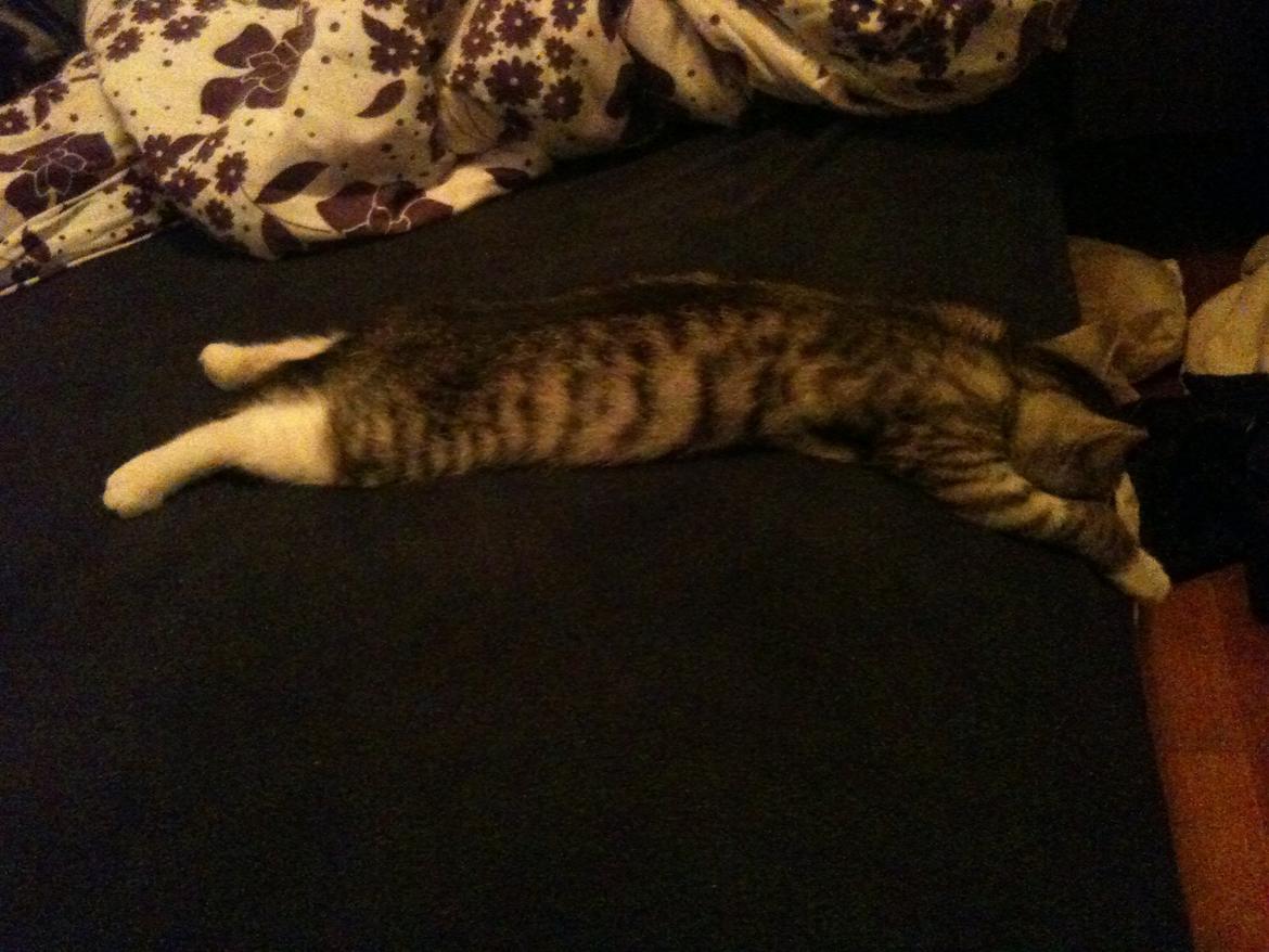 Huskat Chianti billede 8