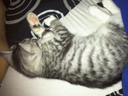 Huskat Chianti billede 9