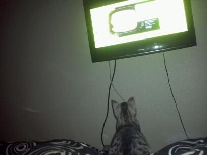 Huskat Chianti - Mmmm! Billig kød :) billede 12