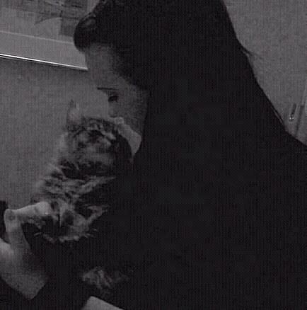 Blanding af racer Chico - Mig og Chicomanden <3 billede 13