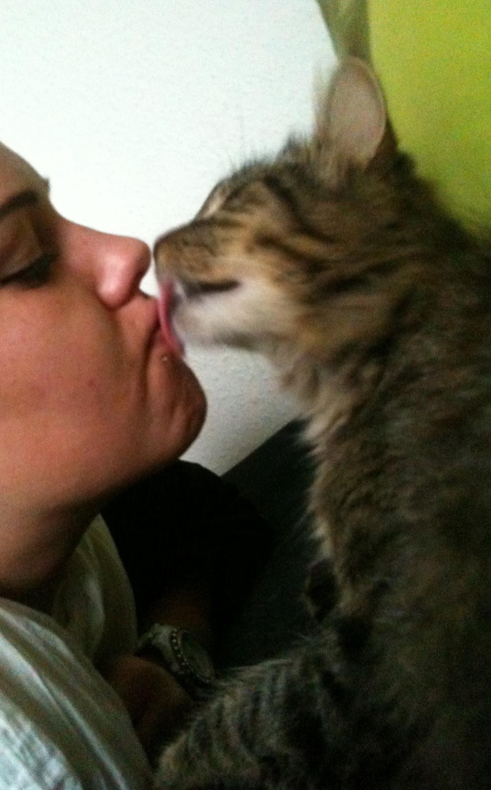 Blanding af racer Chico - Kys kys billede 14