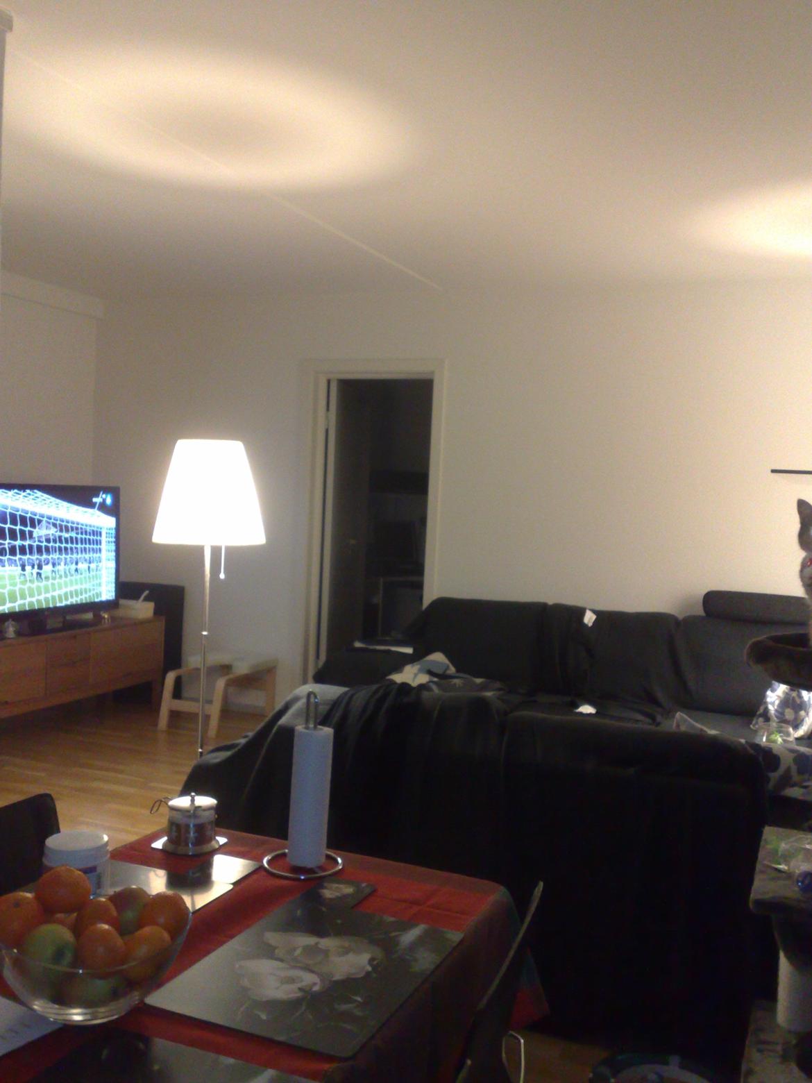 Huskat Rosa billede 4