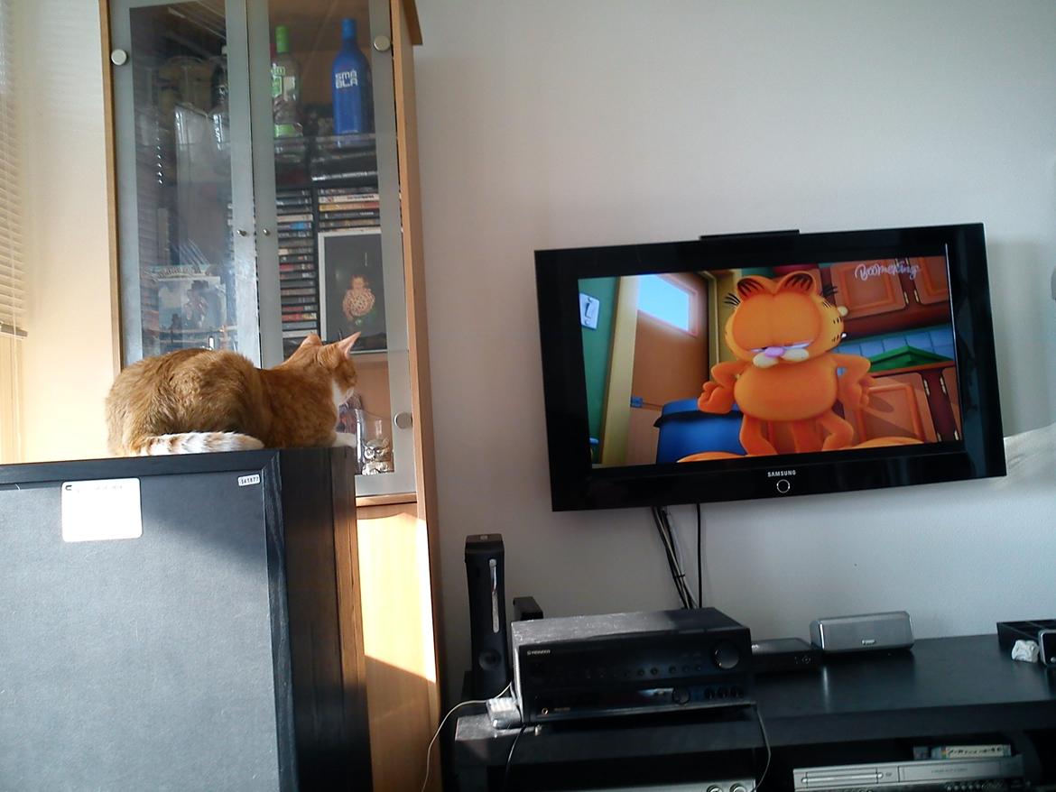 Huskat Minnie - Uhh - Garfield ;D billede 15