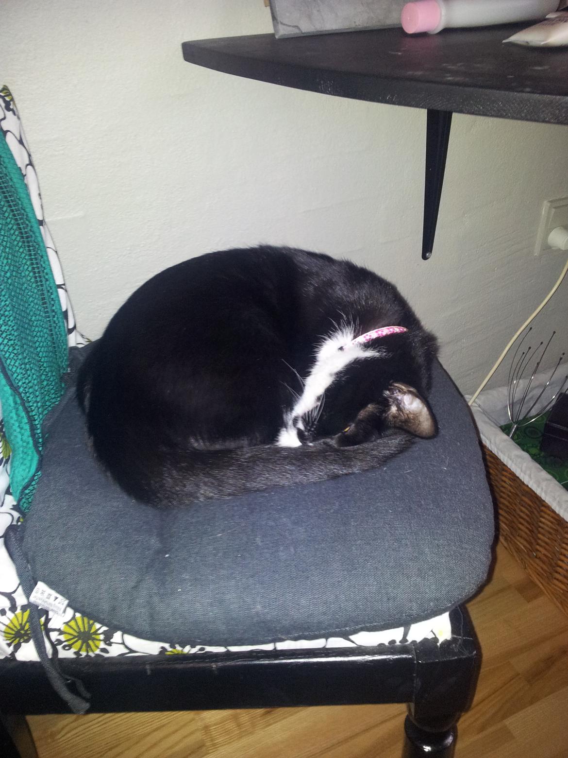 Huskat Nuser billede 7