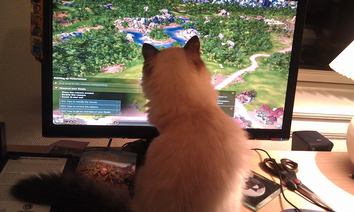 Ragdoll Diva - Uha, der er et elt land inde i skærmen. :D  billede 9