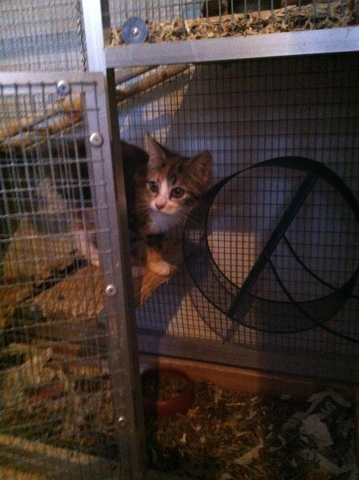 Huskat Lillefix - er lige på opdagelse billede 17