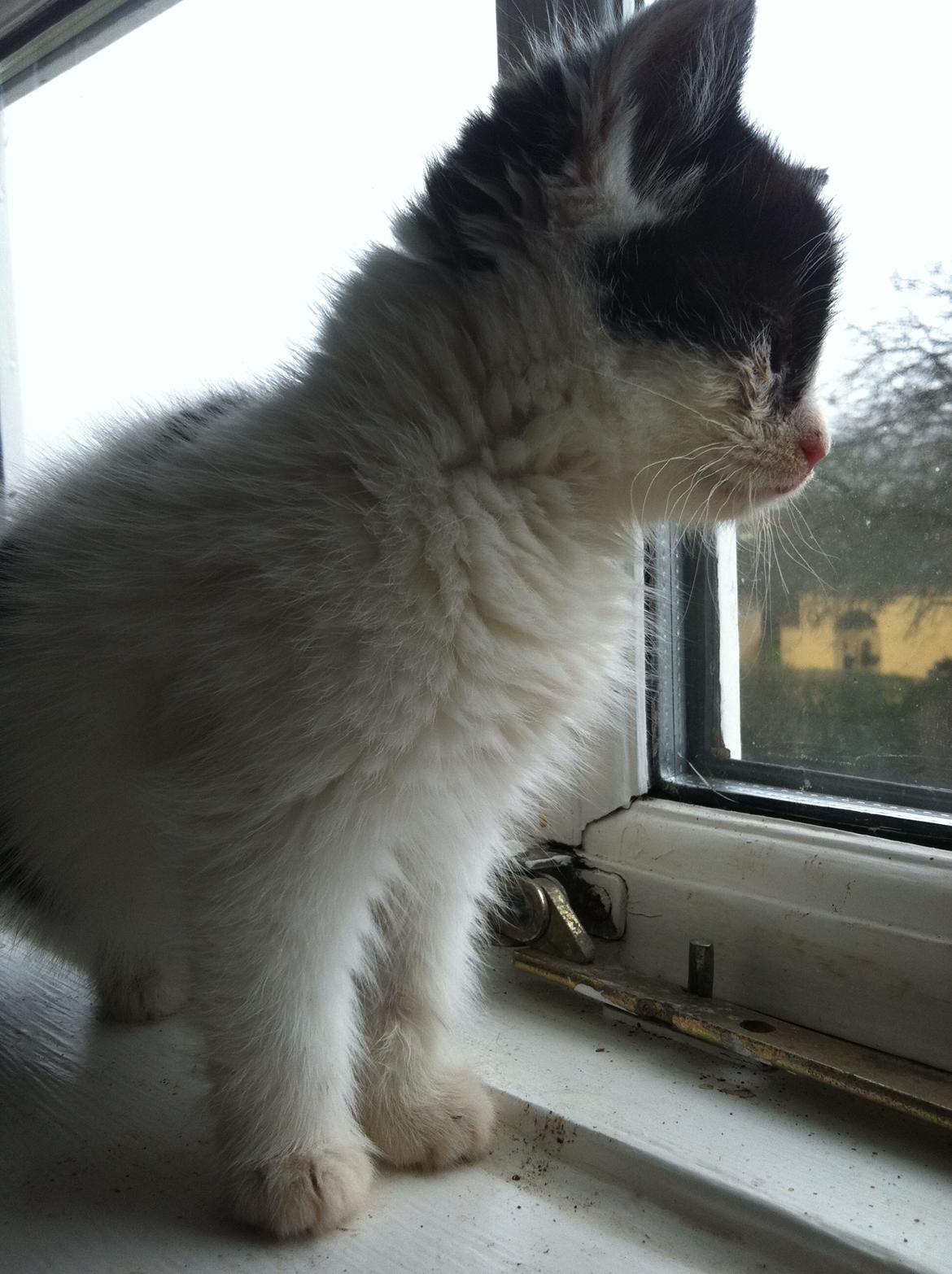 Huskat Dope - hvad sker der derude? billede 6