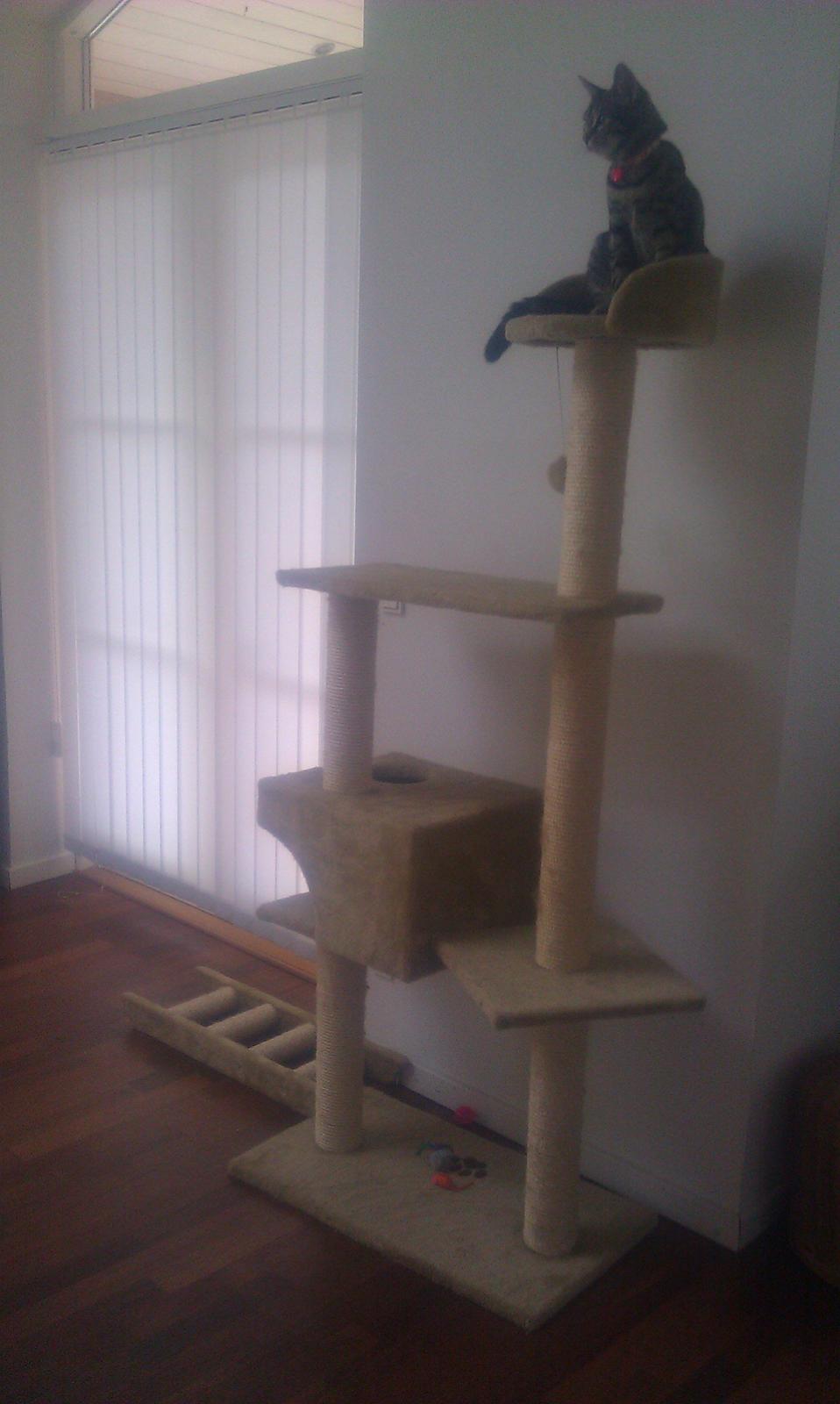 Blanding af racer Chloé (tidligere Mille) billede 1