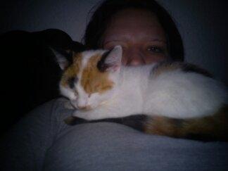 Huskat Bailey billede 7