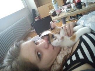 Huskat Bailey billede 14