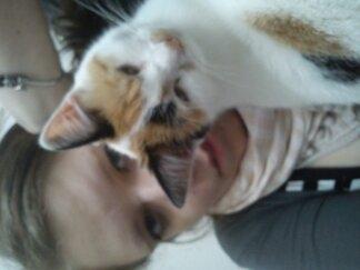 Huskat Bailey billede 15