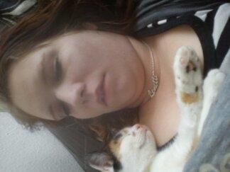 Huskat Bailey billede 16