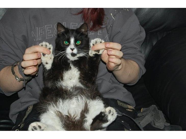 {{currentPhoto.altText}} billede {{currentPhoto.number}}