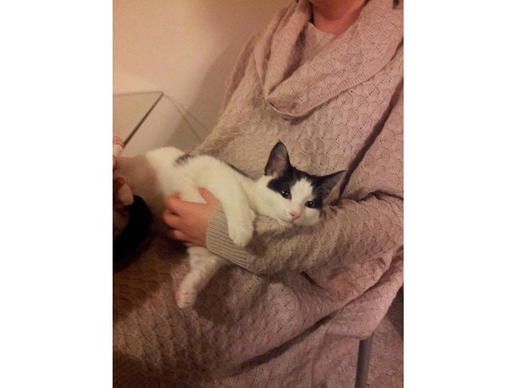 {{currentPhoto.altText}} billede {{currentPhoto.number}}