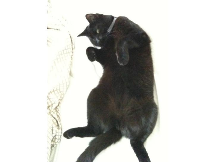 {{currentPhoto.altText}} billede {{currentPhoto.number}}