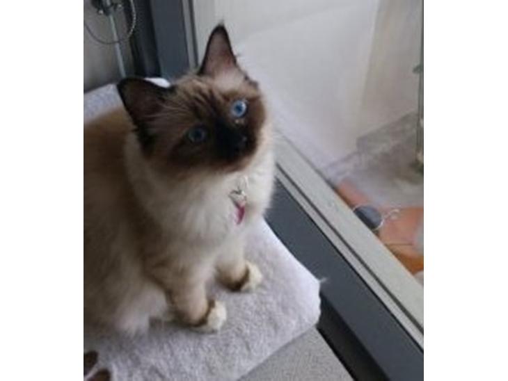 {{currentPhoto.altText}} billede {{currentPhoto.number}}